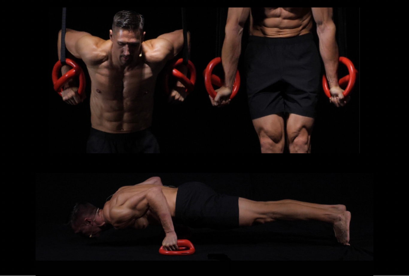 Workout ring gymnastic ring caliring parallettes